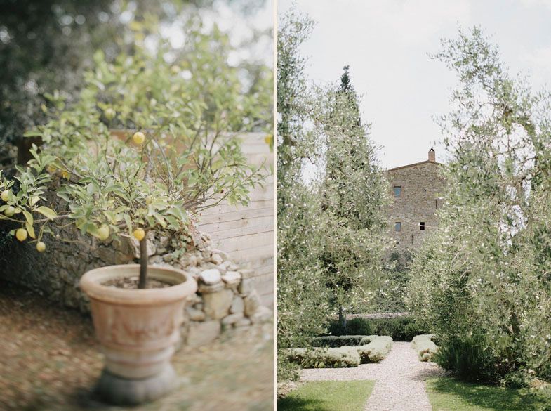 Garden scenery with potted plants and stone building visible through olive trees.