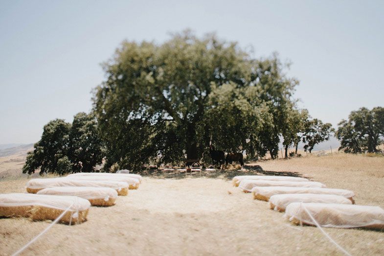 Hay bale seating arranged in rows under large oak tree for outdoor ceremony.