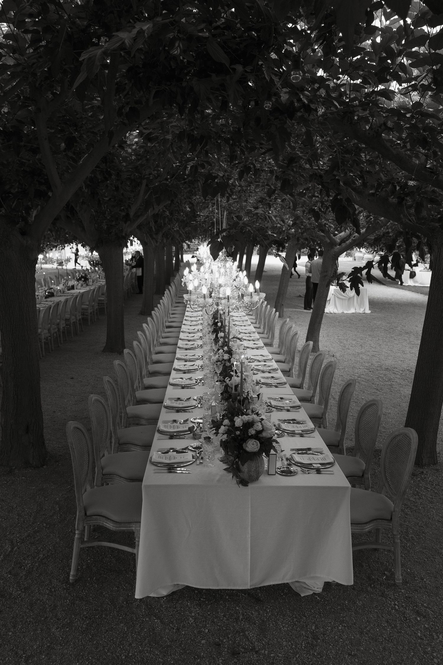 A long outdoor wedding reception table set beneath trees with elegant place settings.
