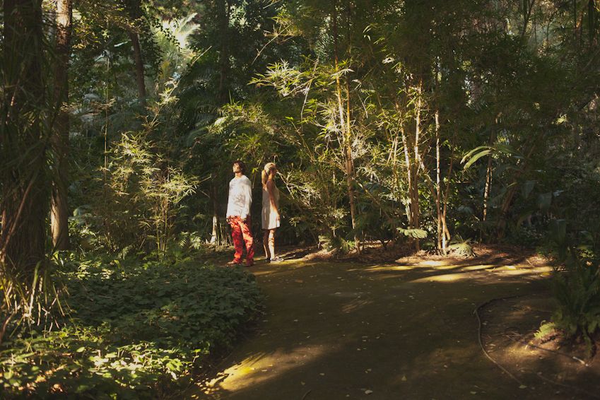 A couple walks along a sunlit forest trail surrounded by tall trees.