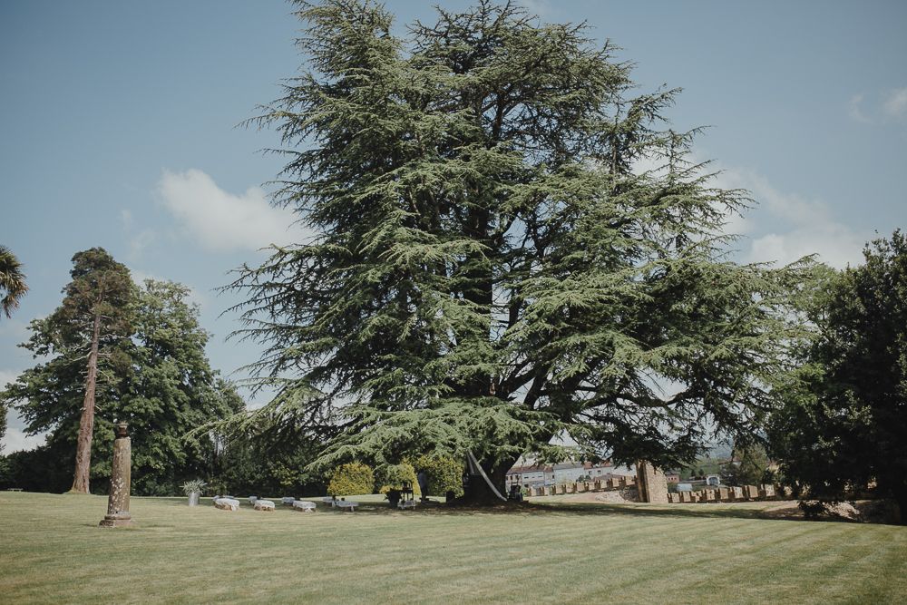 A serene garden landscape with tall trees and manicured lawns.
