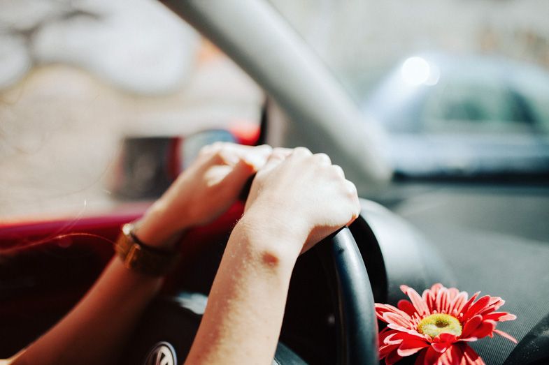 Hands gripping a steering wheel with a red gerbera daisy in the foreground.