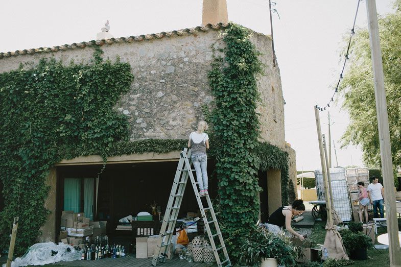 Ivy-covered building exterior with ladder propped against the wall for maintenance.