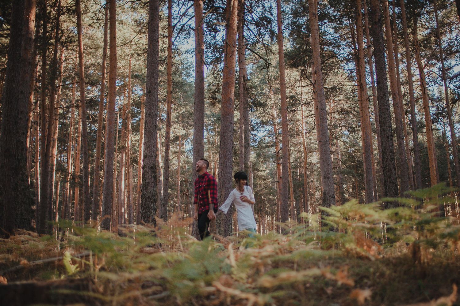 A couple walks through a sunlit pine forest with tall trees creating a magical woodland atmosphere.