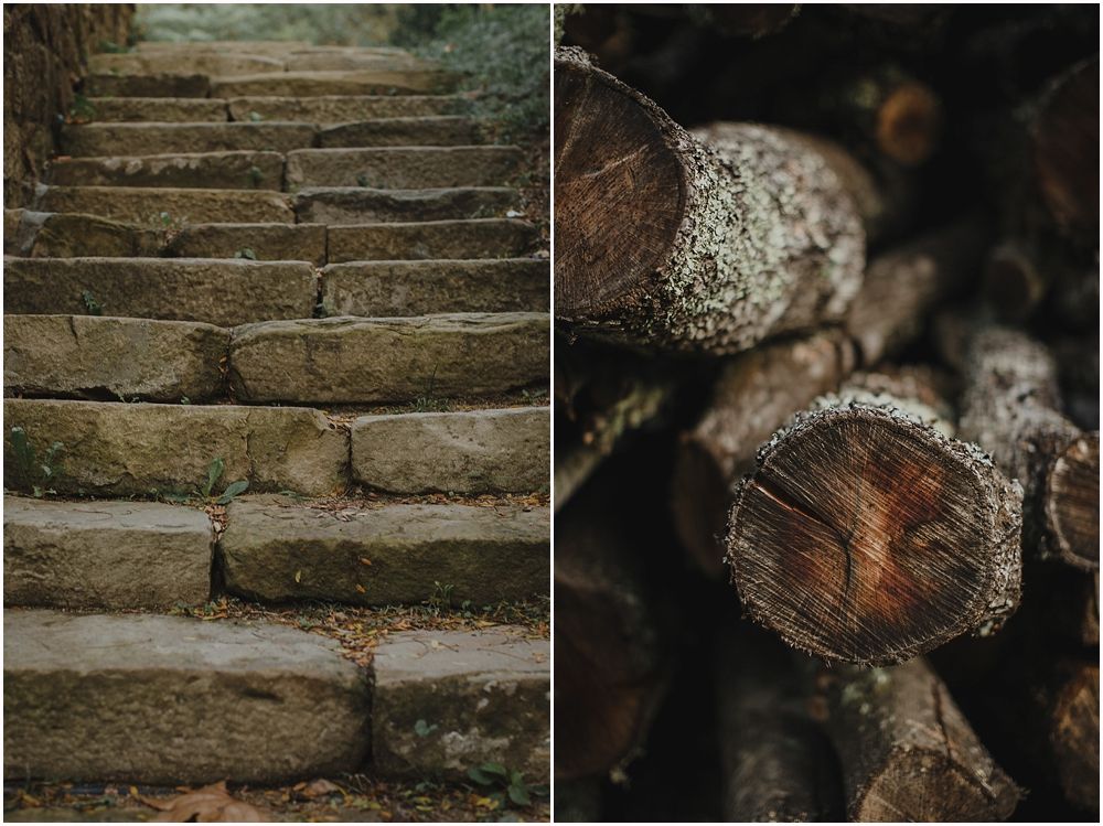 Diptych showing worn stone steps and close-up of cut wood logs with textured detail.
