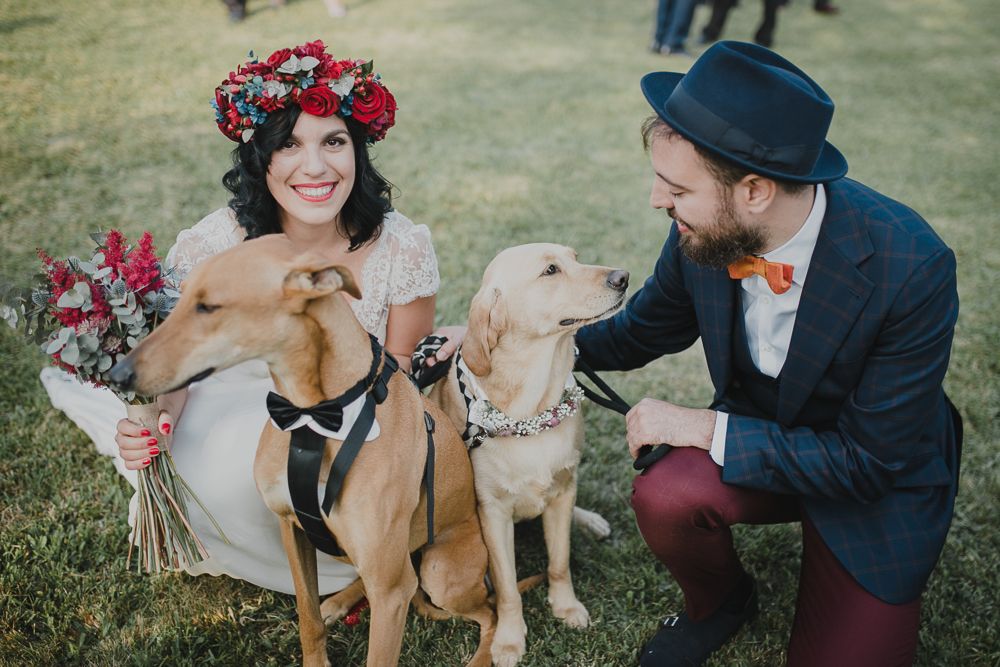A couple with their two dogs on leashes during their wedding celebration outdoors.