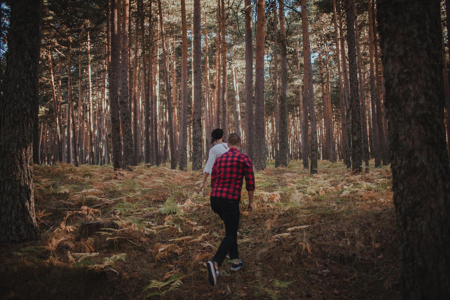 Person in plaid shirt exploring a serene pine forest on an autumn day.