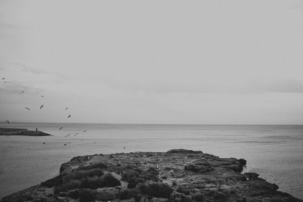 Dramatic black and white seascape with rocky coastline and birds flying over calm waters.