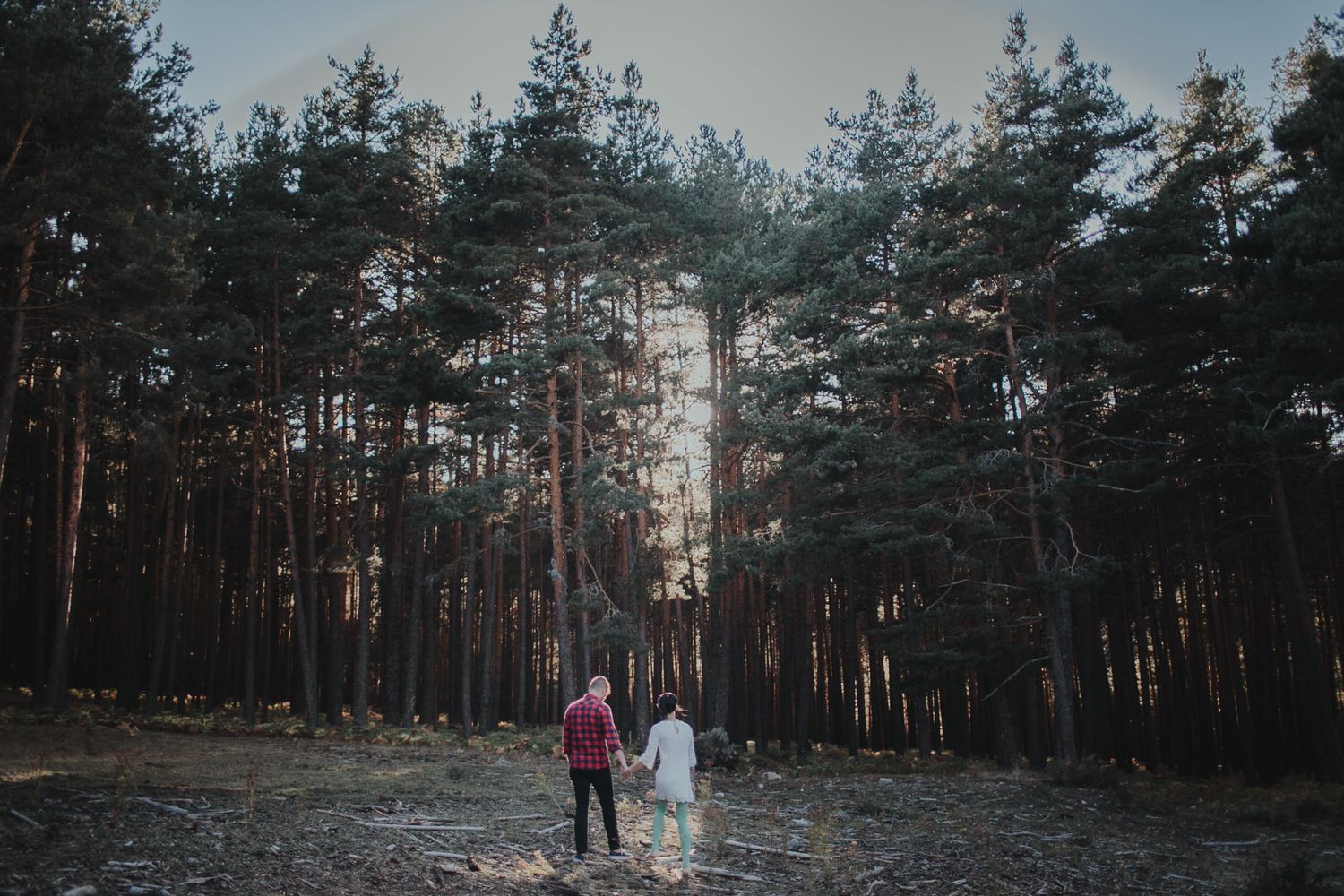 Two people holding hands while walking through a moody forest landscape.