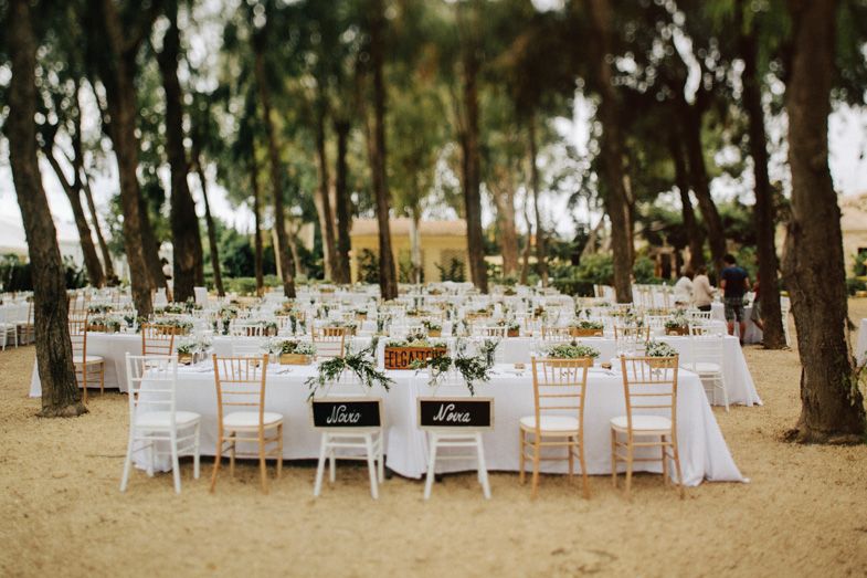 Elegant outdoor wedding reception tables set under trees with white linens and rustic decor.
