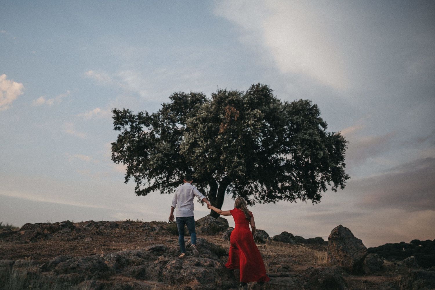 Silhouetted couple standing under large tree during sunset in rural setting.