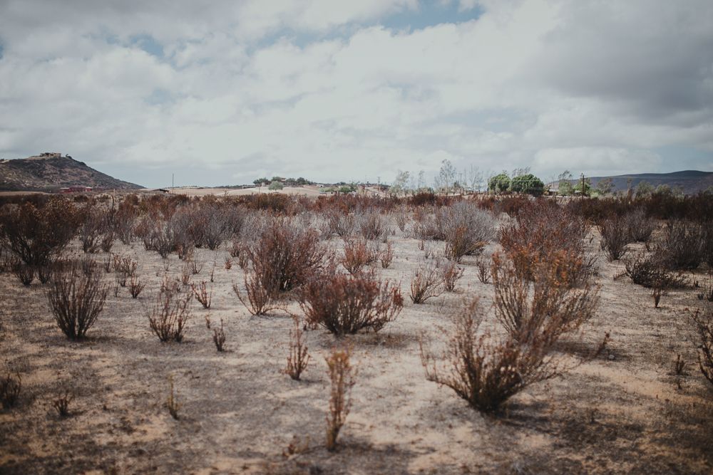 Arid desert landscape with dry brush and mountains under cloudy sky.
