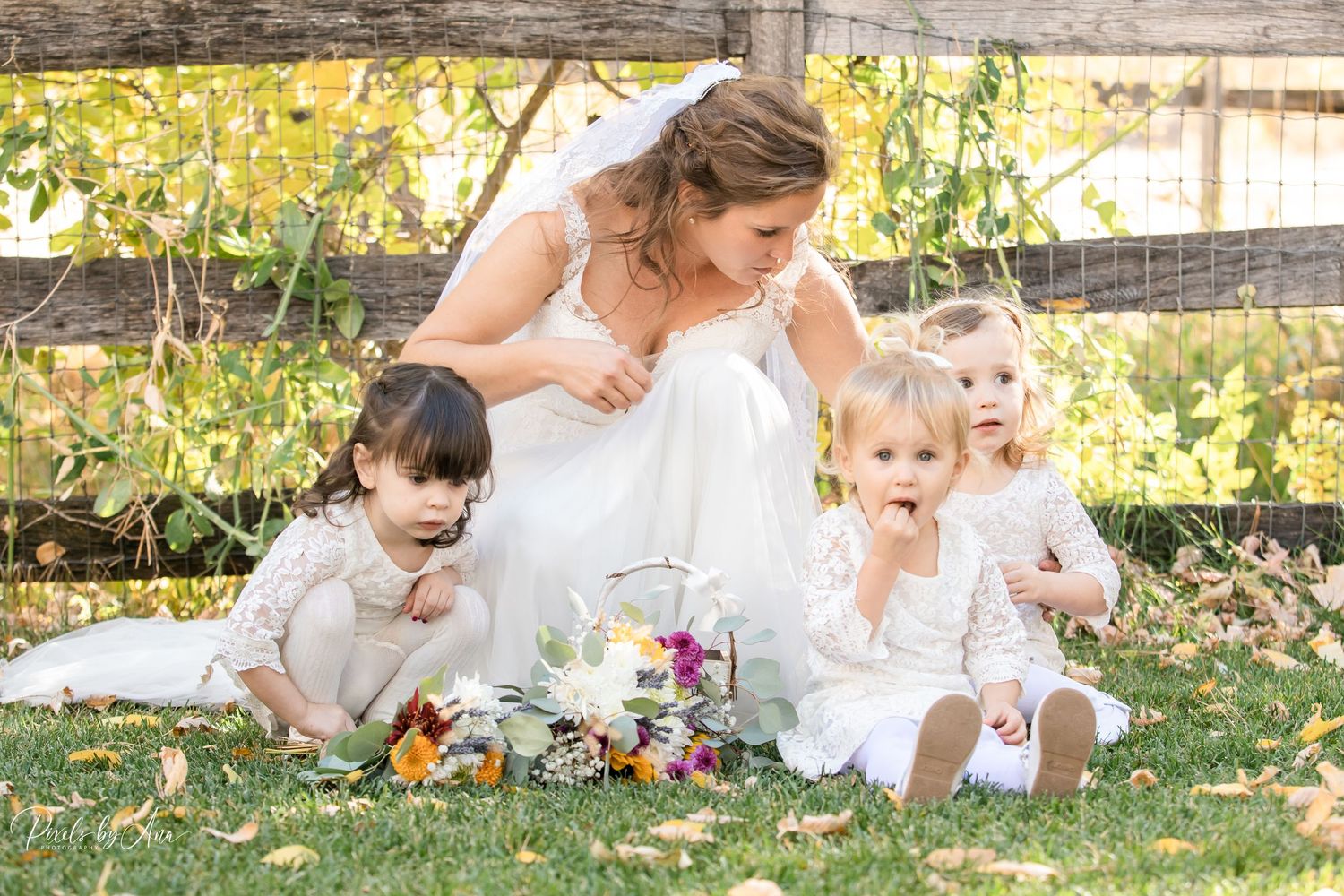 wedding and event photography