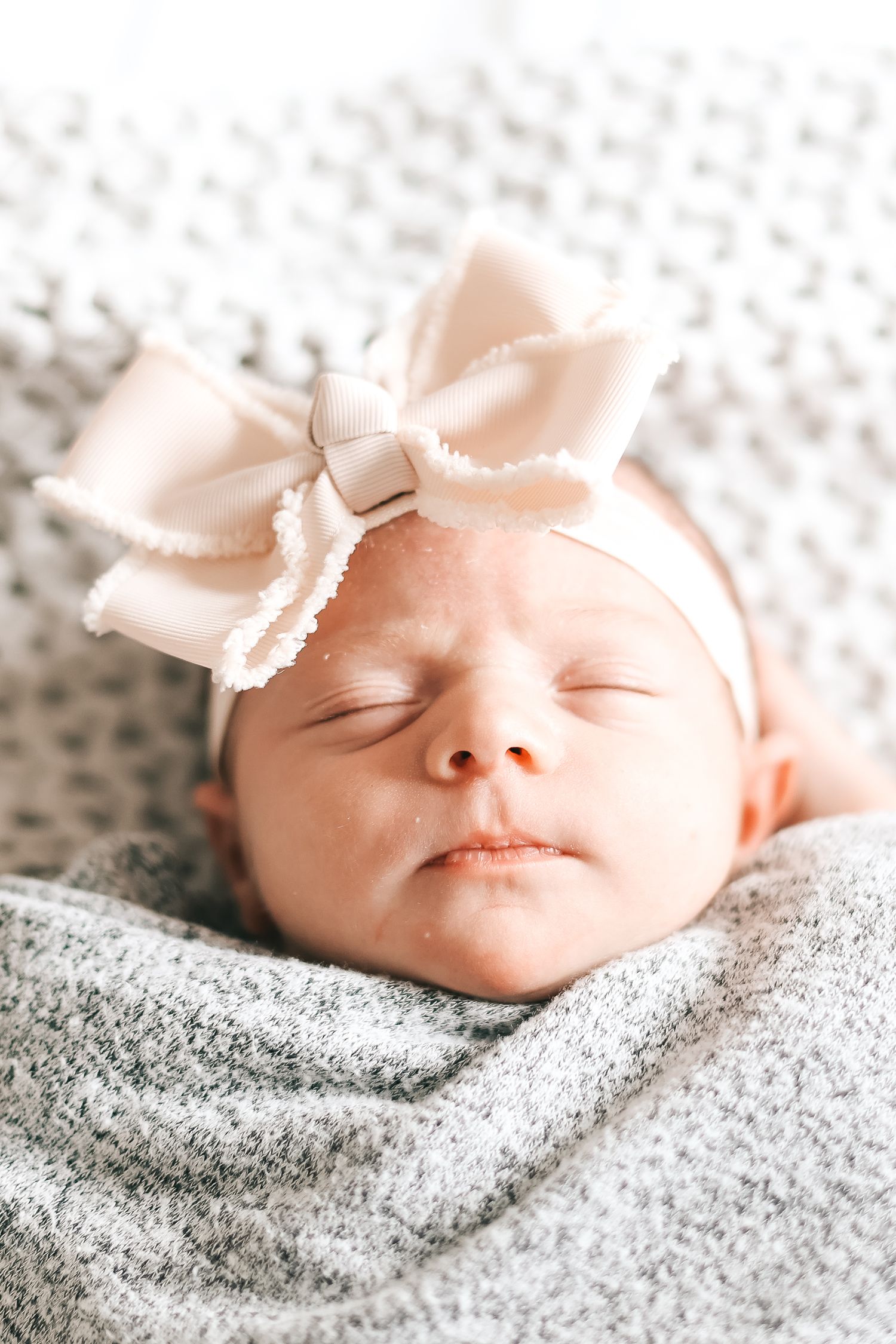 baby and family photography