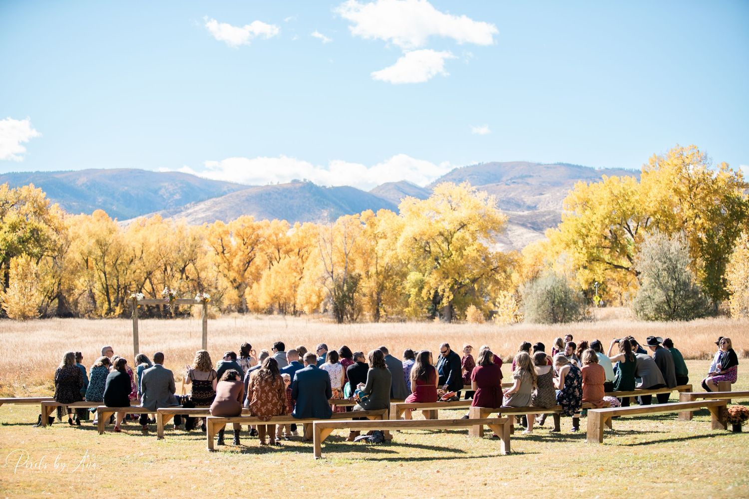 wedding and event photography