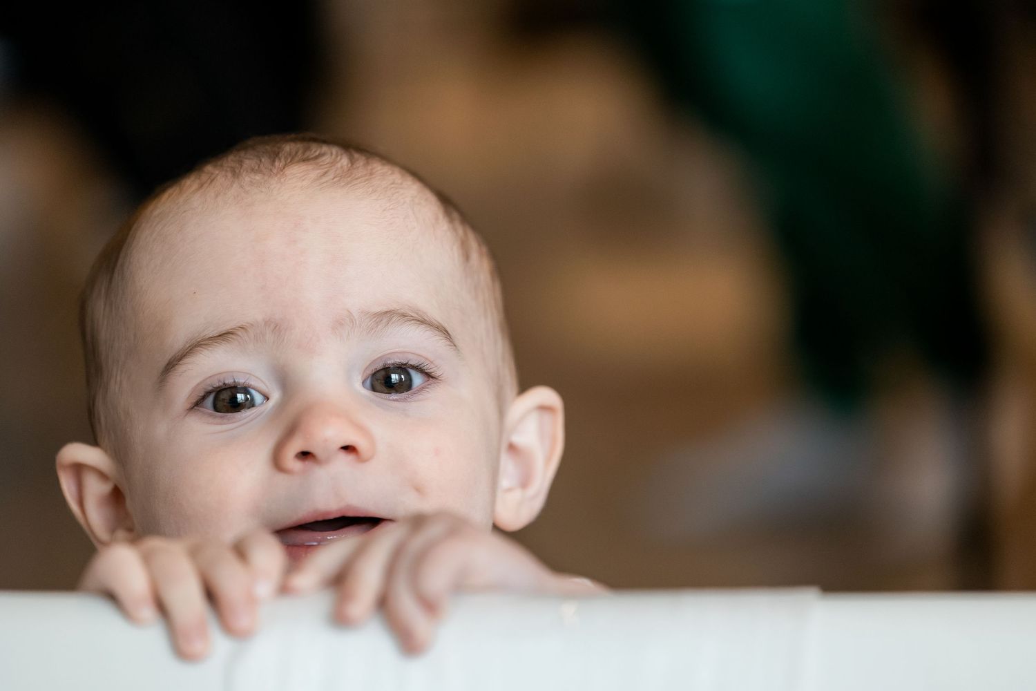 maternity and family photos