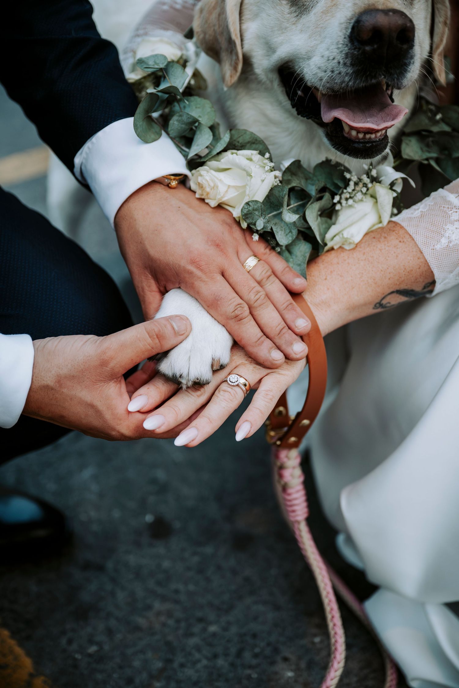 Bride and groom stack hands with their dog's paw, showcasing wedding rings and floral collar at a wedding celebration.