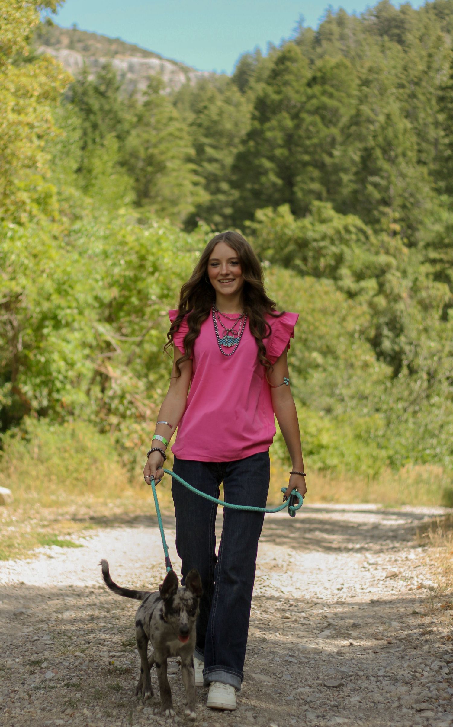 A dog and walker enjoy a sunny hike along a mountain trail surrounded by lush greenery.