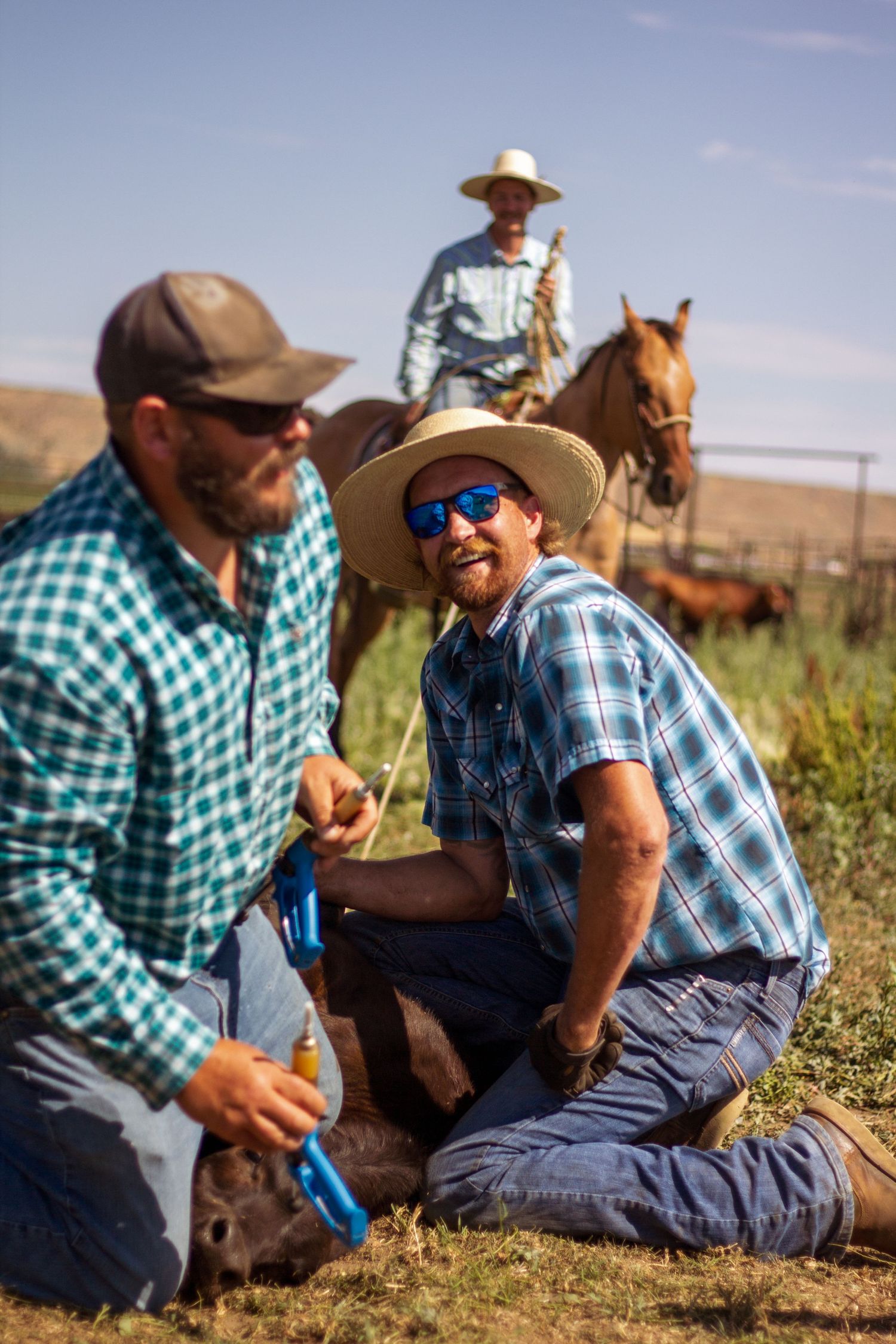 Ranch workers in plaid shirts and cowboy hats rest in grassy field with horses in background.