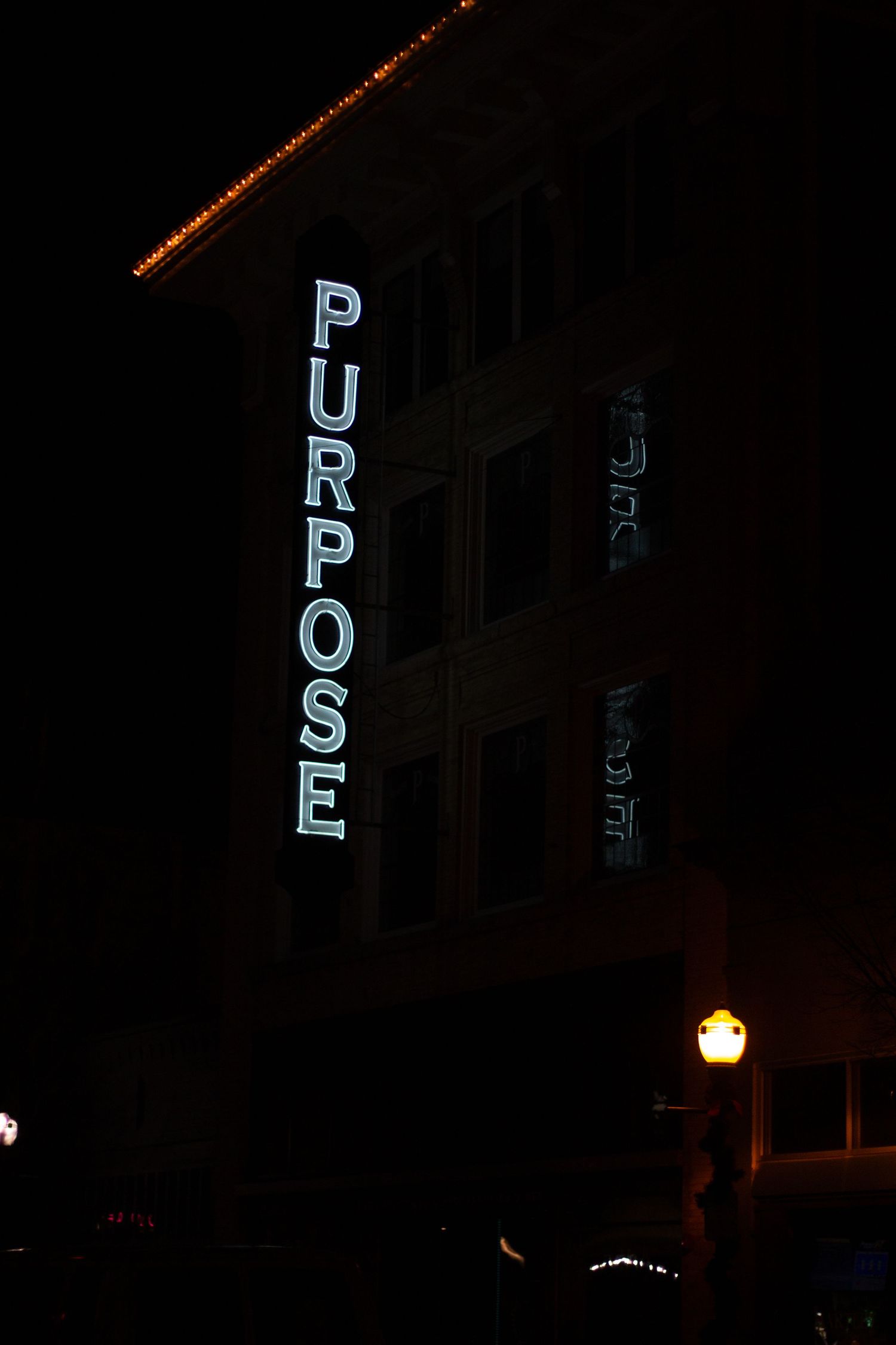 Vertical neon sign reading 'PURPOSE' illuminated against dark building at night.