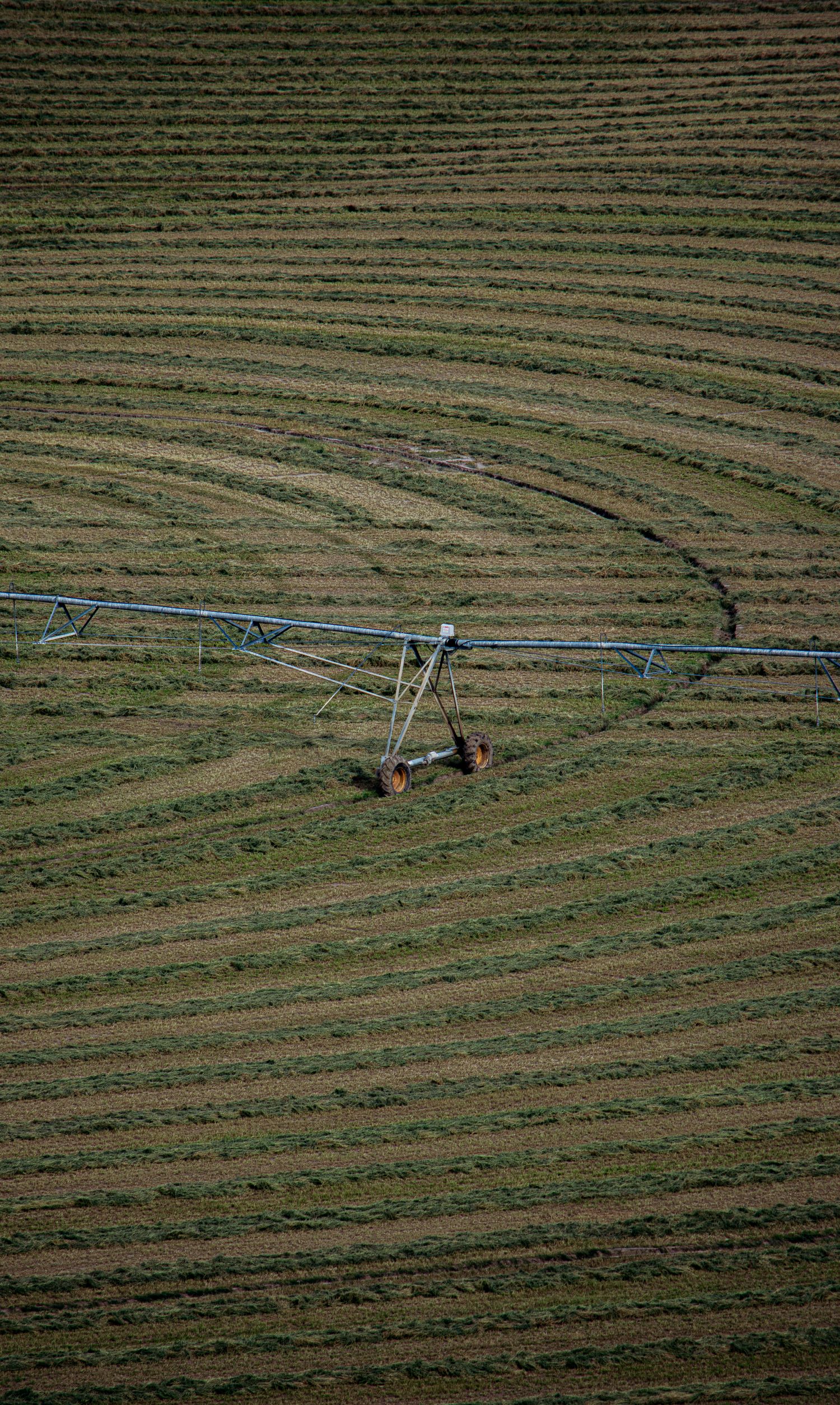 Aerial view of circular irrigation system in agricultural field with curved patterns.