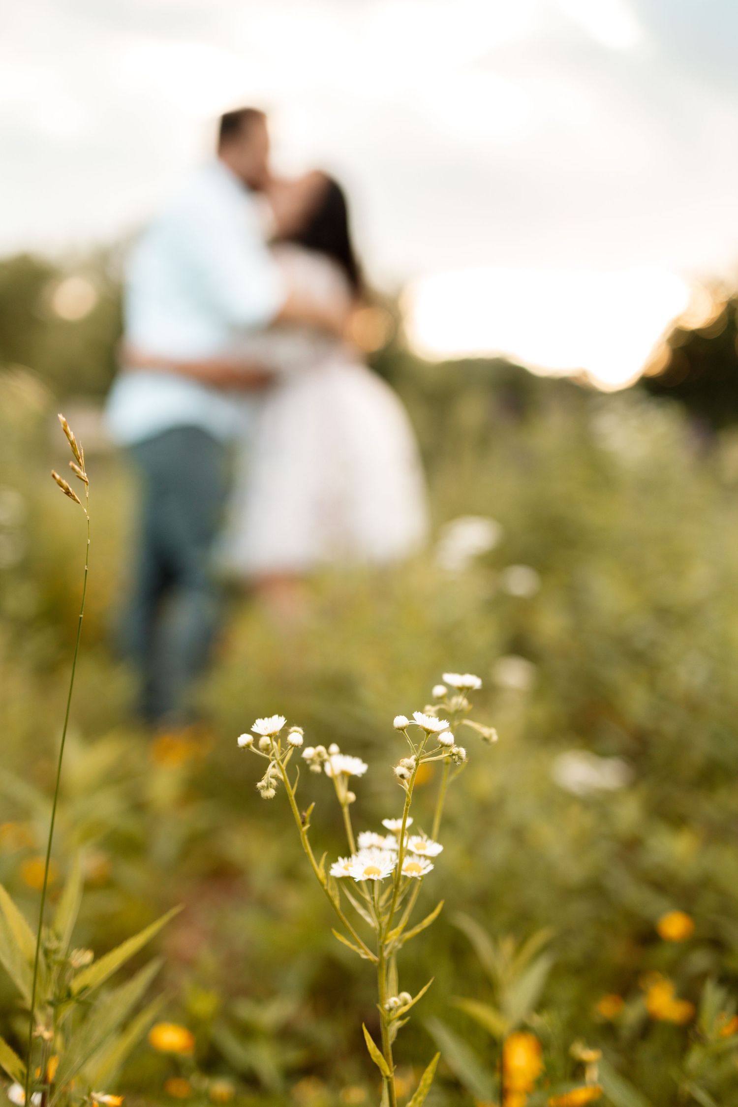 Soft focus wildflowers in foreground with couple silhouetted in background.