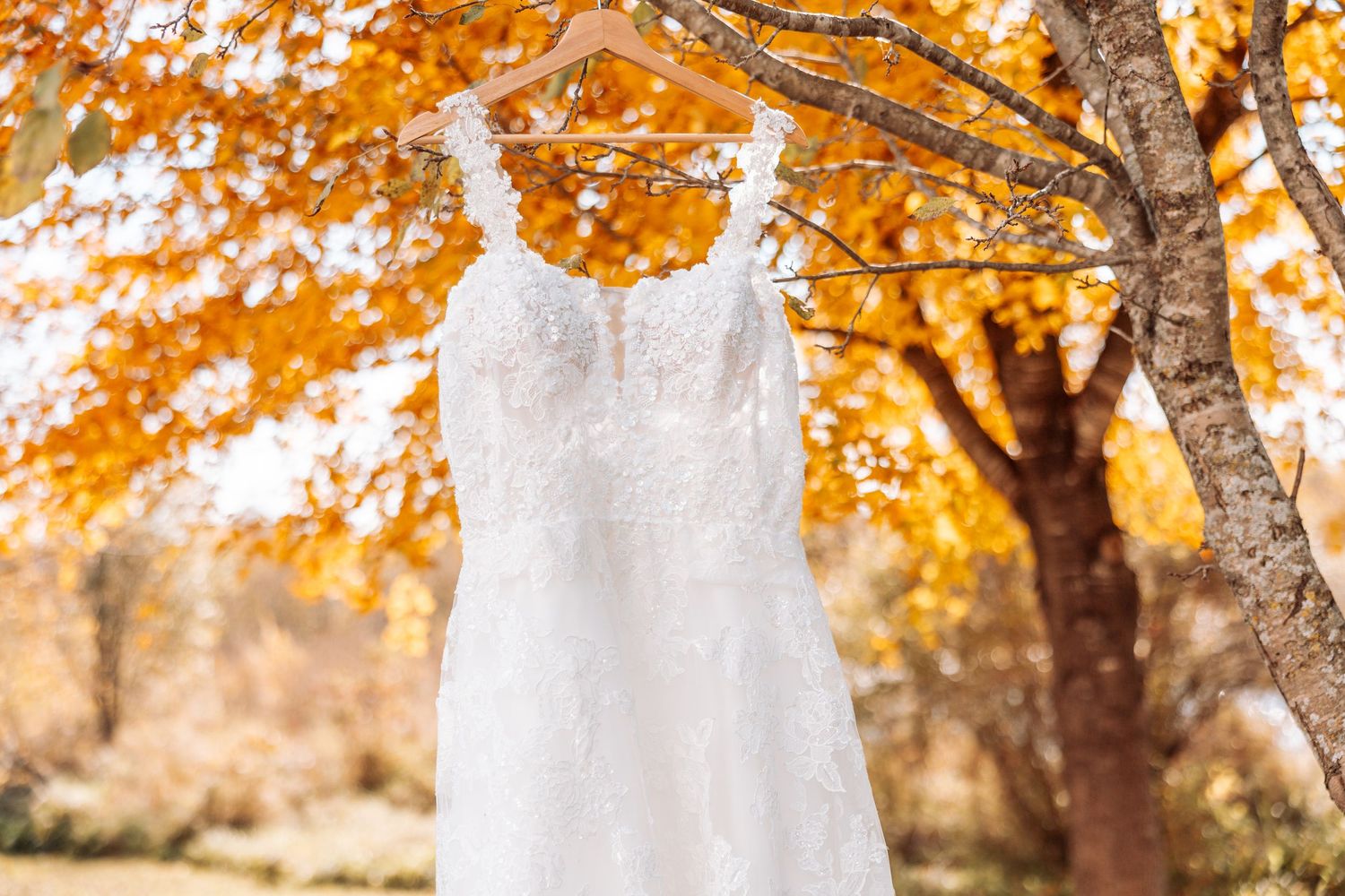Wedding dress hanging from tree with vibrant orange autumn foliage with Kenzie Ayla Images in the Twin Cities MN area.