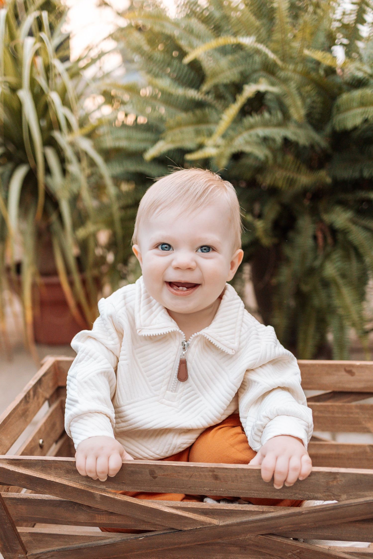 Baby in white collared outfit smiles while sitting in wooden crate surrounded by greenery.
