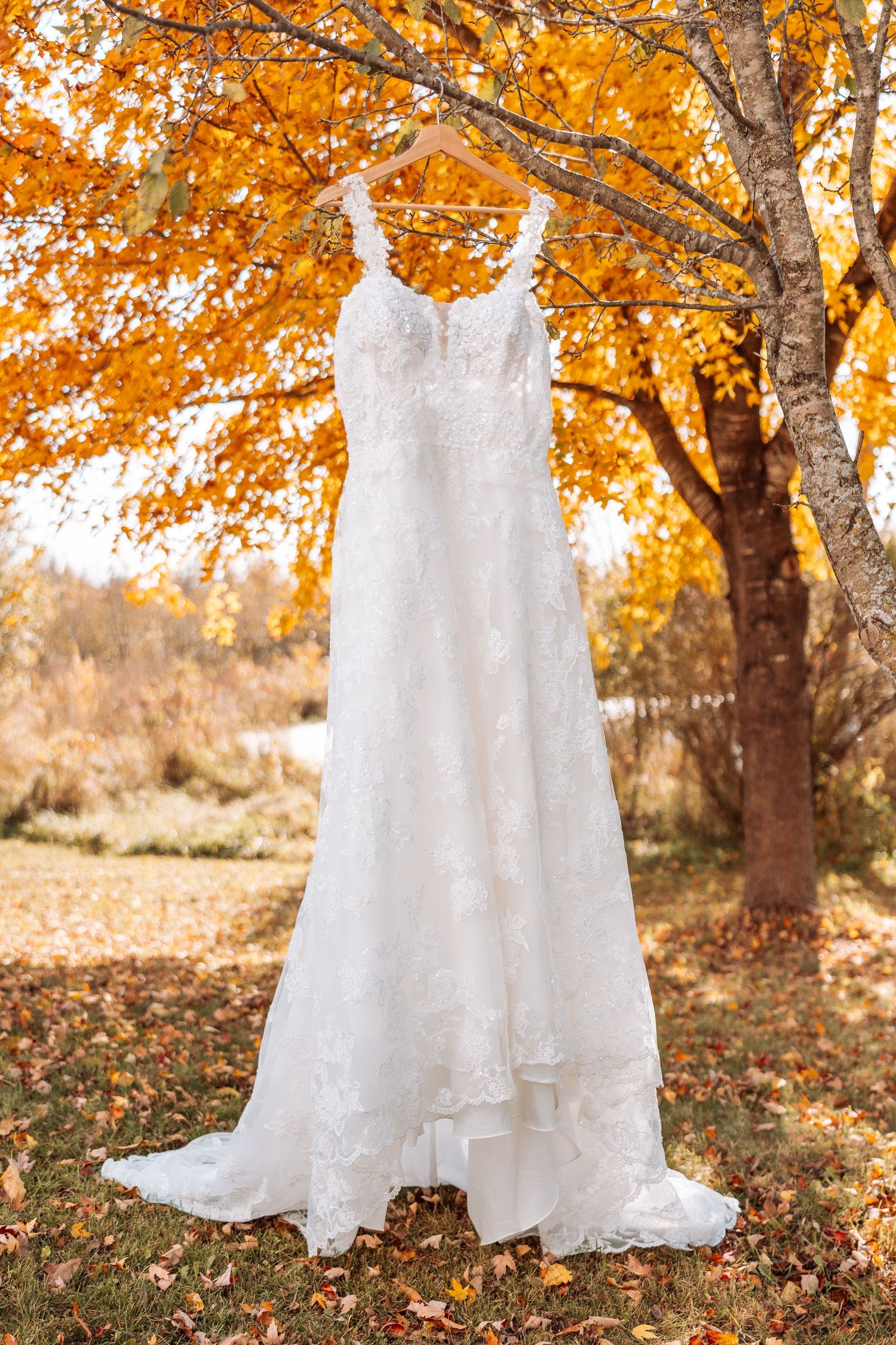Elegant white lace wedding dress hanging from tree branch with golden autumn leaves.