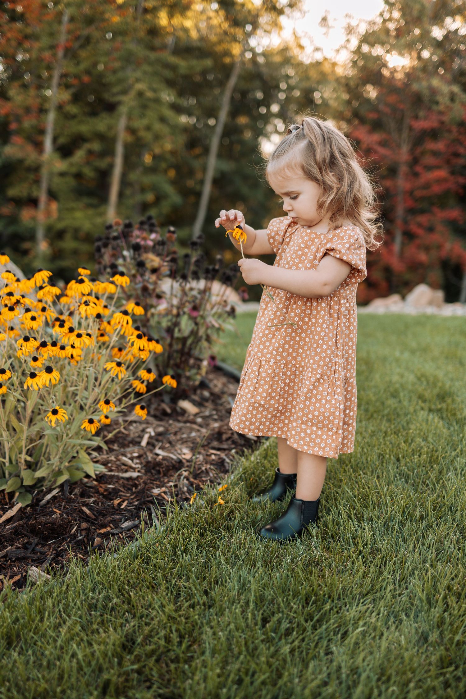 Small child in polka dot dress explores garden with blooming yellow flowers on autumn day.