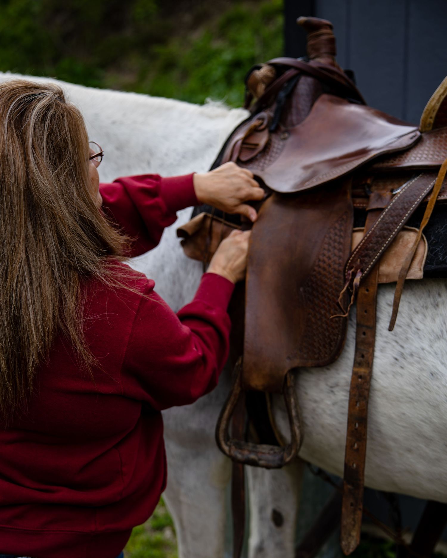 Woman in red sweater saddling a white horse with a brown western saddle outdoors.