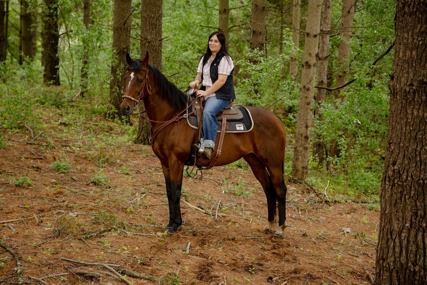 Woman riding a chestnut horse through a pine forest on a trail ride.