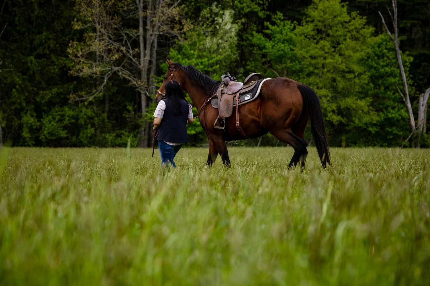 A woman stands beside a saddled brown horse in a lush green field with trees in the background.