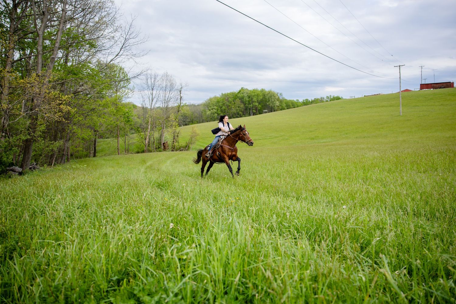 Person riding a brown horse through a lush green field on a cloudy day in a scenic rural countryside.