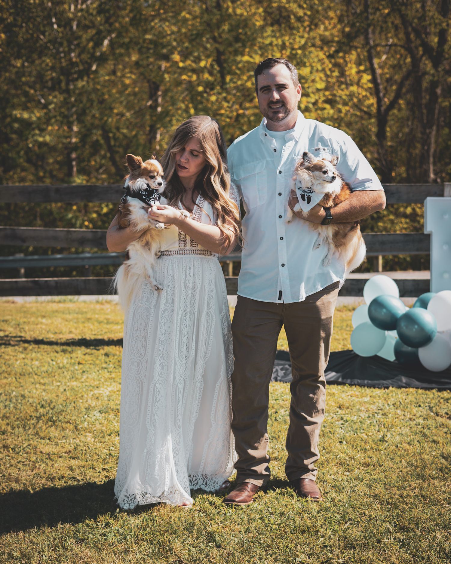Expecting couple holds two small dogs at an outdoor gender reveal party with teal balloons on a sunny day.