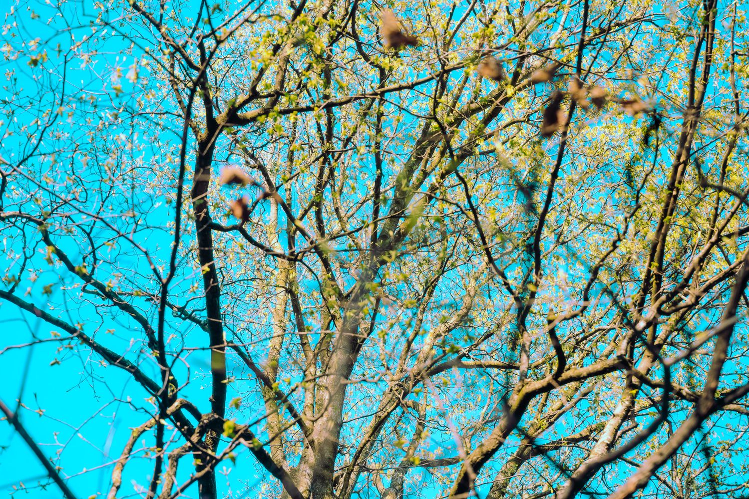 Nature Center - Faribault, MN