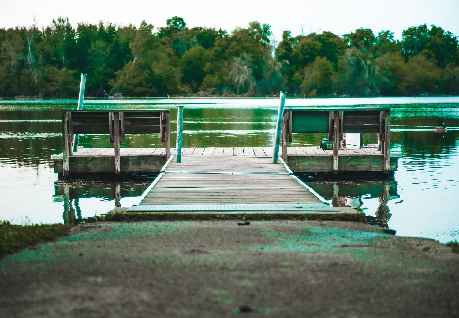 Lake of the Isles - Minneapolis, MN