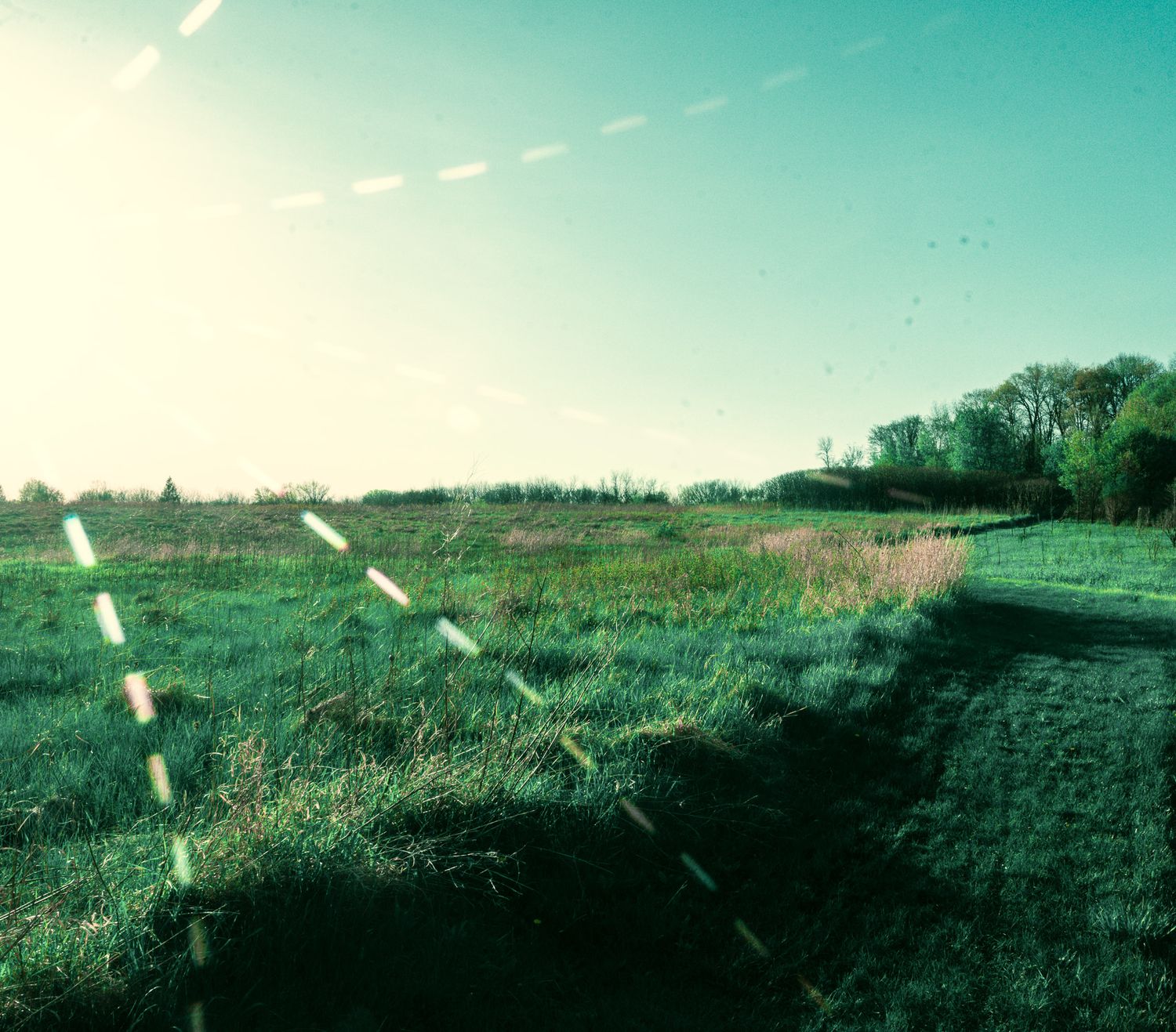 Nature Center - Faribault, MN
