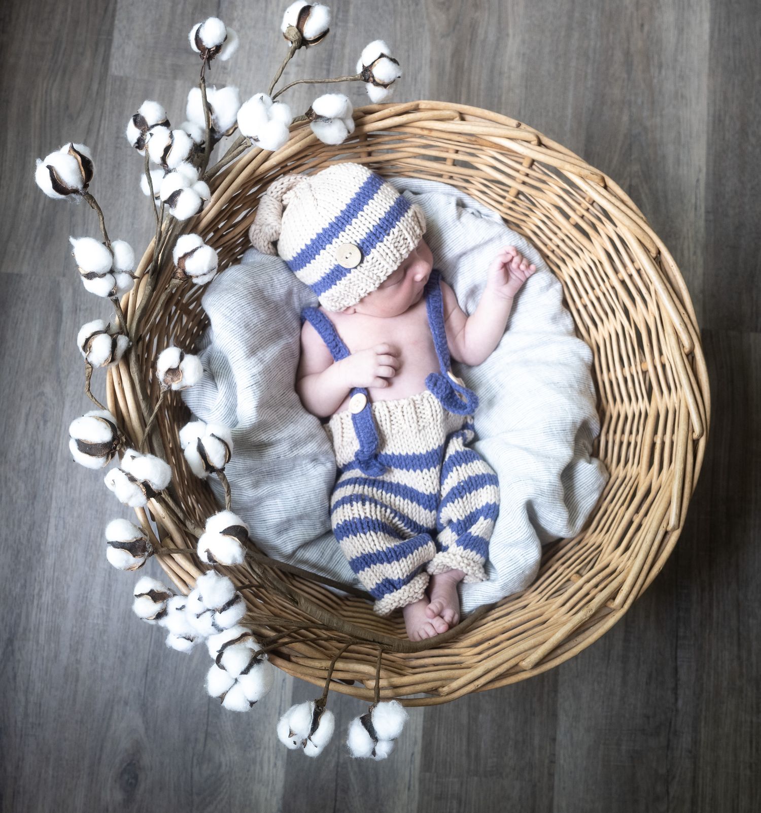 Estes - Newborn