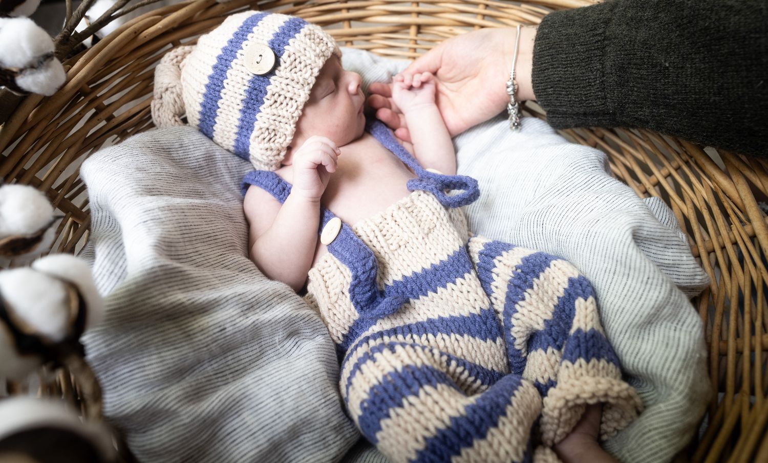Estes - Newborn