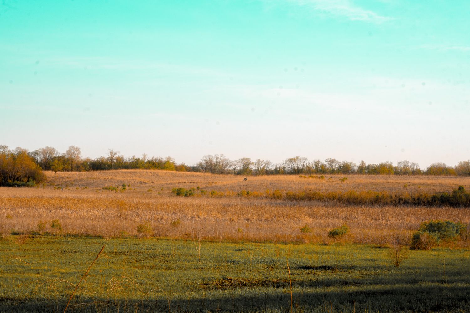 Nature Center - Faribault, MN