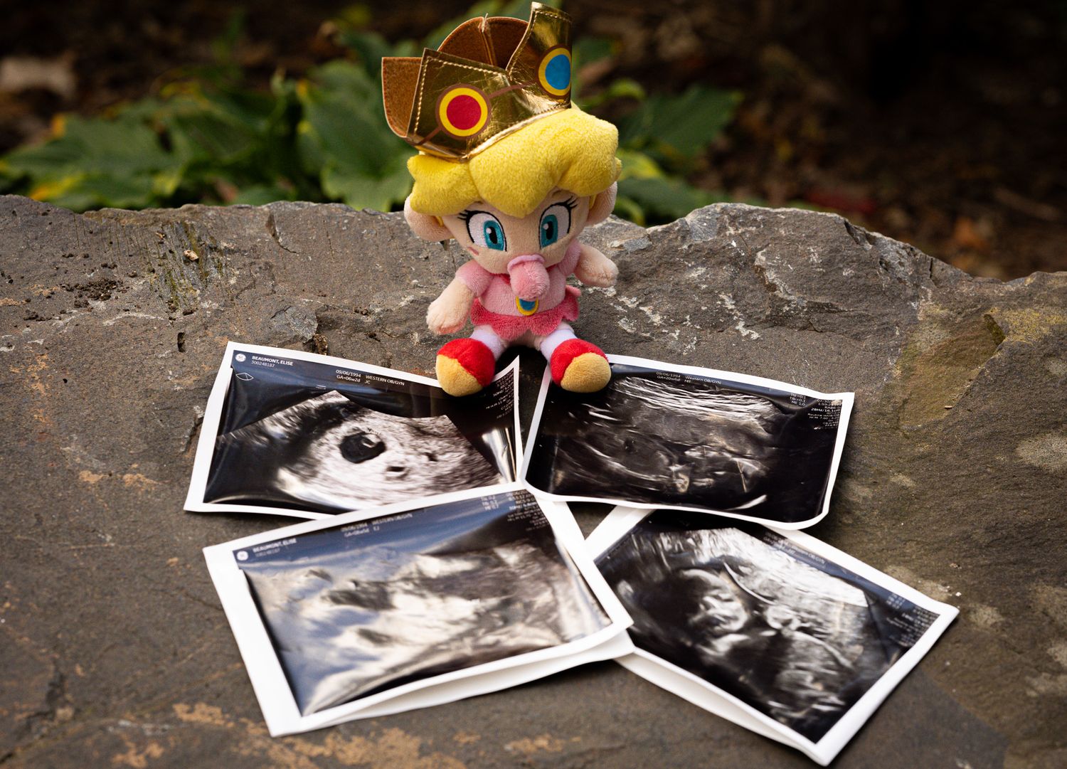 Beaumont Family - Maternity