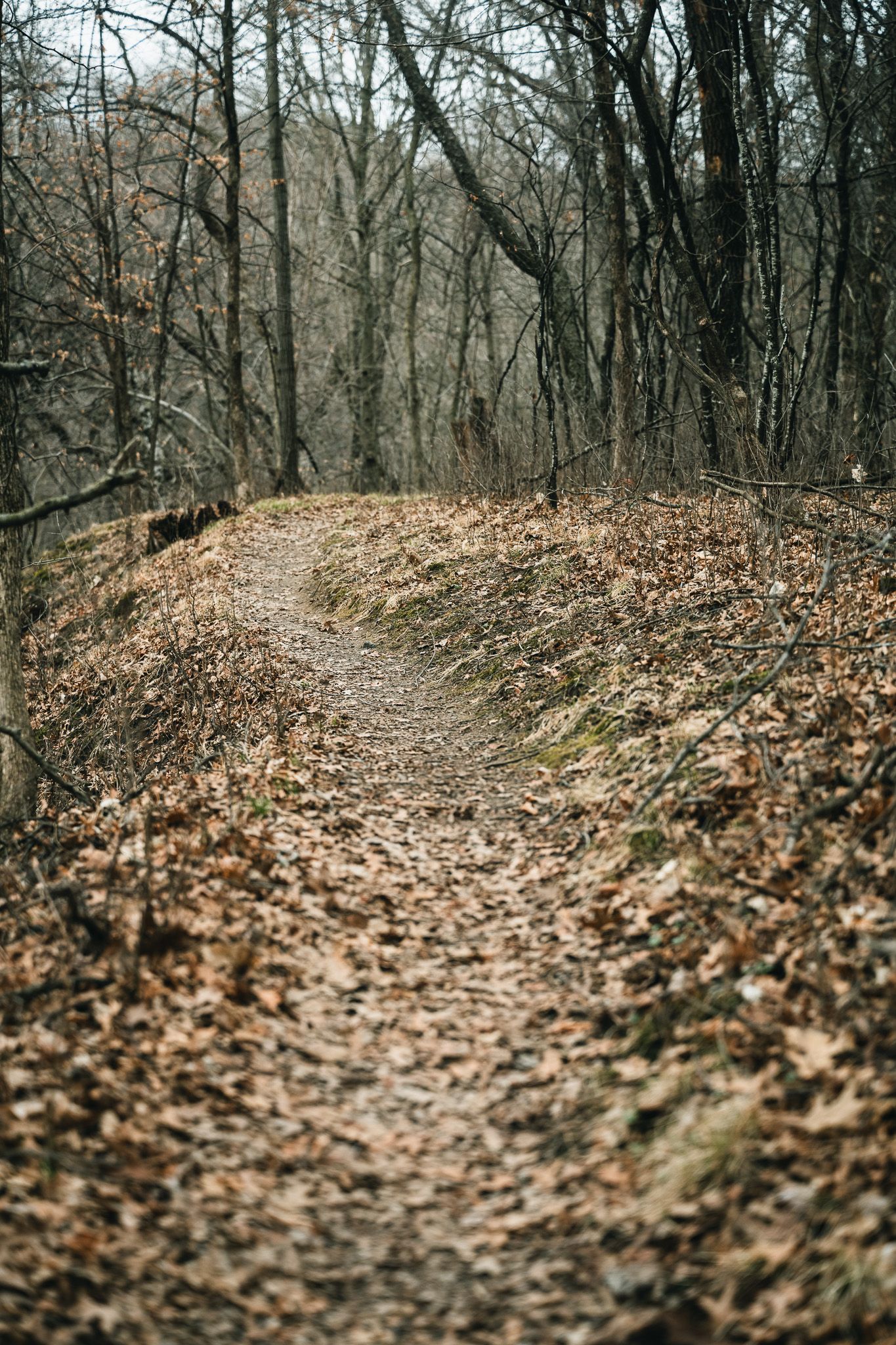 Nature Center - Faribault, MN