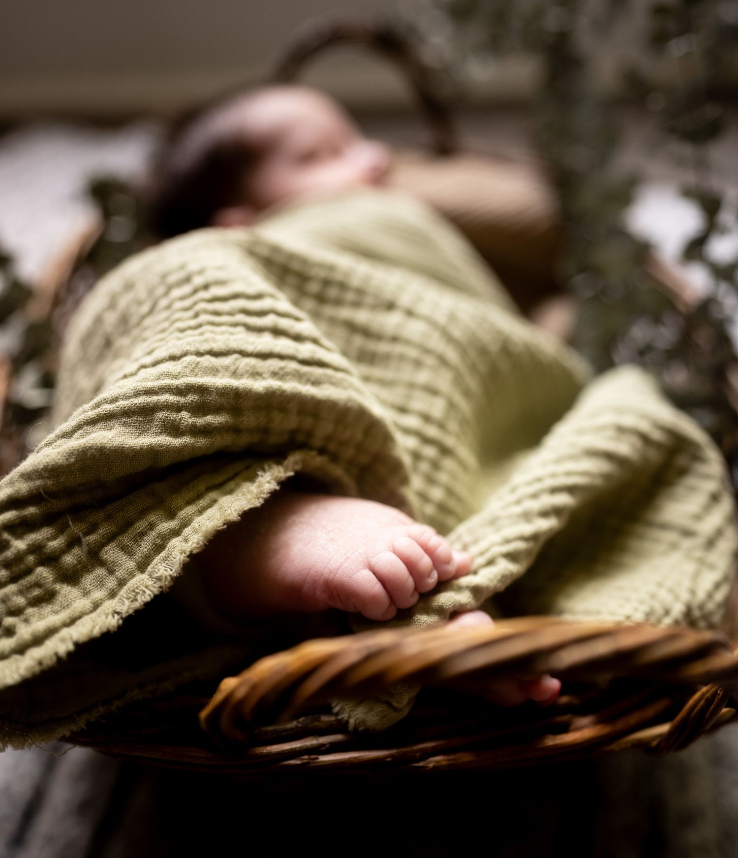 Estes - Newborn