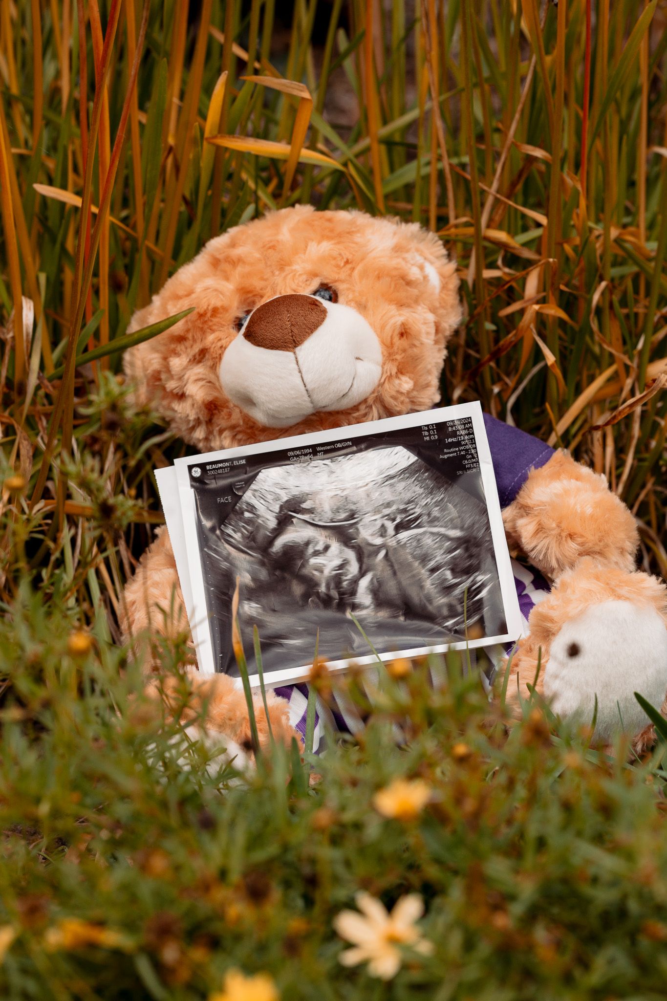 Beaumont Family - Maternity