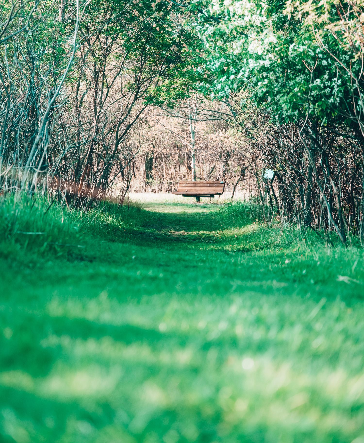 Nature Center - Faribault, MN