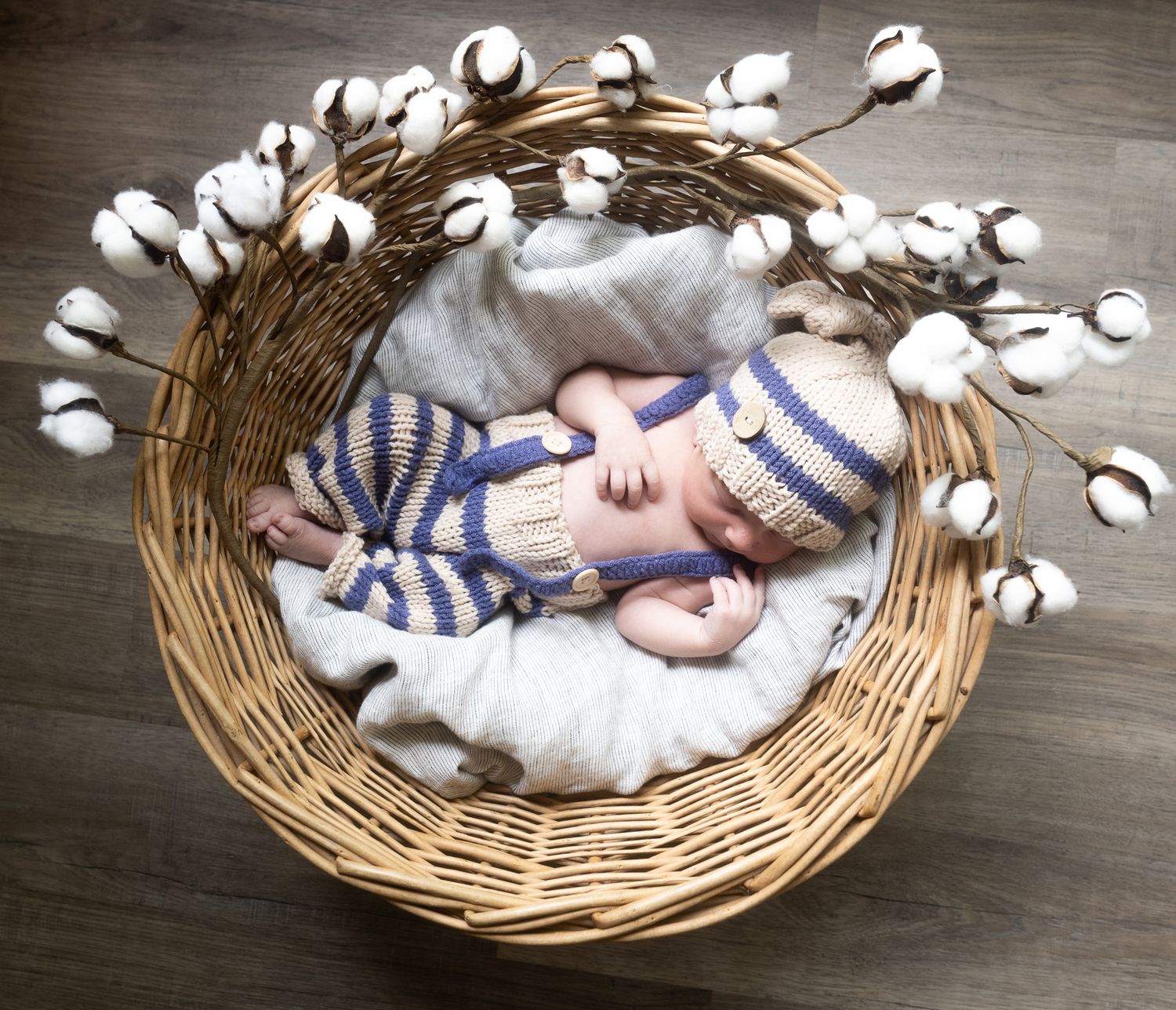 Estes - Newborn