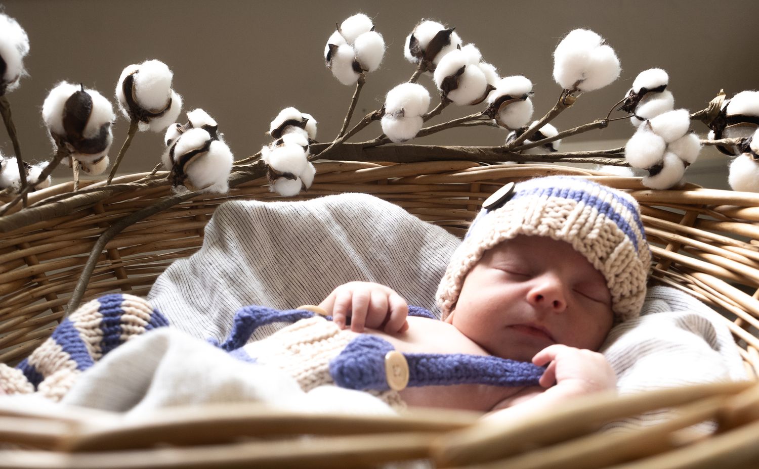Estes - Newborn