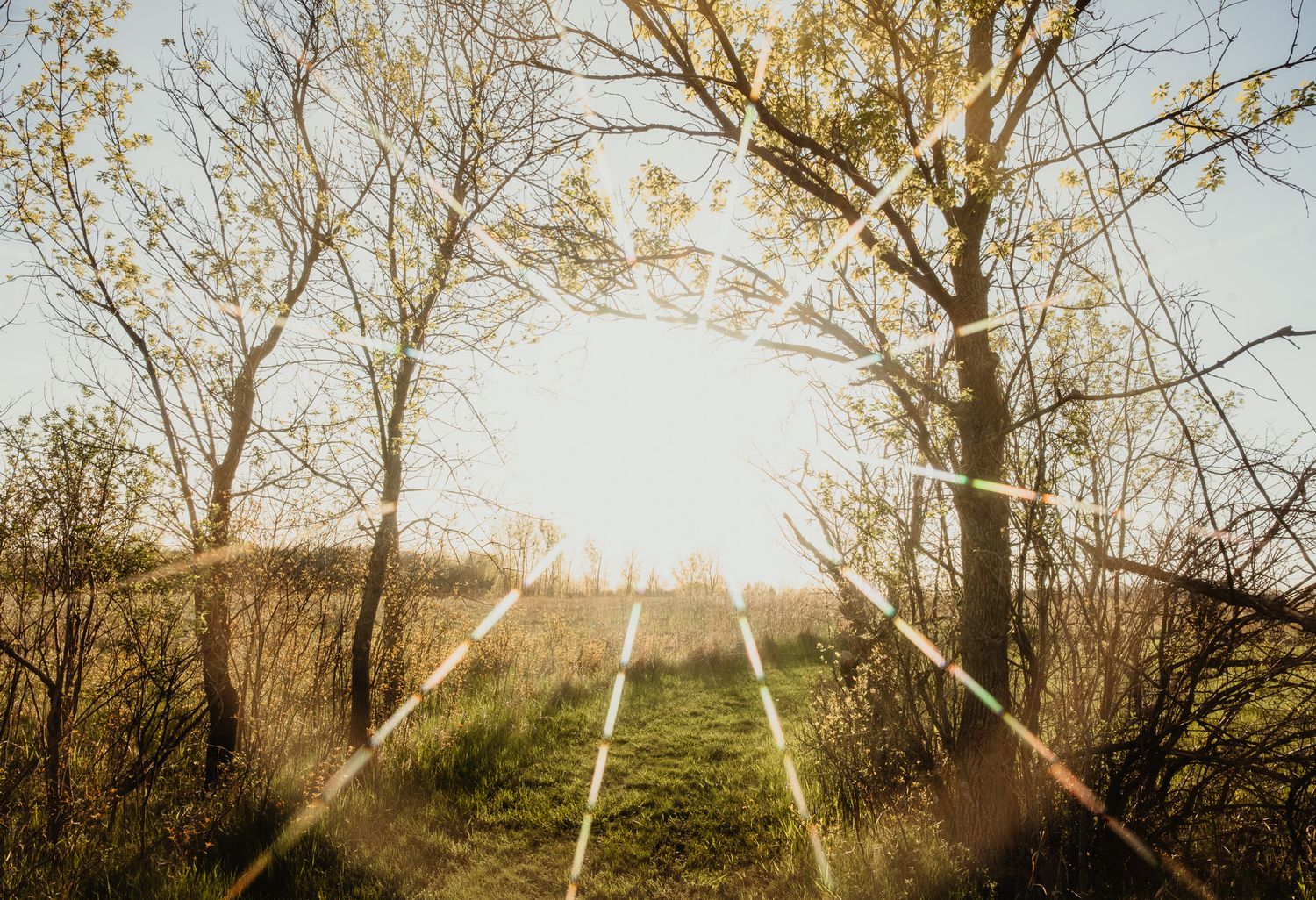 Nature Center - Faribault, MN