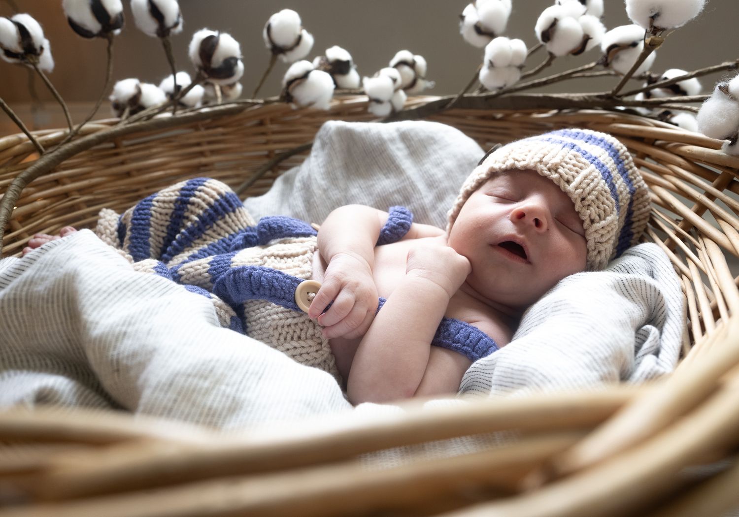 Estes - Newborn
